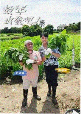 厨房的哲学综艺现场